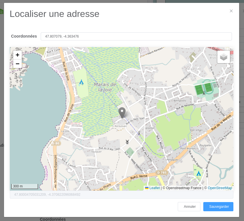 Formulaire de localisation manuelle d'une adresse