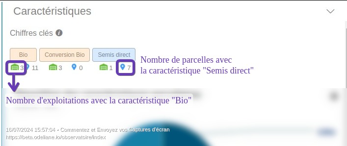 observatoire analyse caractéristiques chiffres
